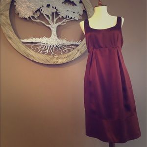 The Limited Silk Dress